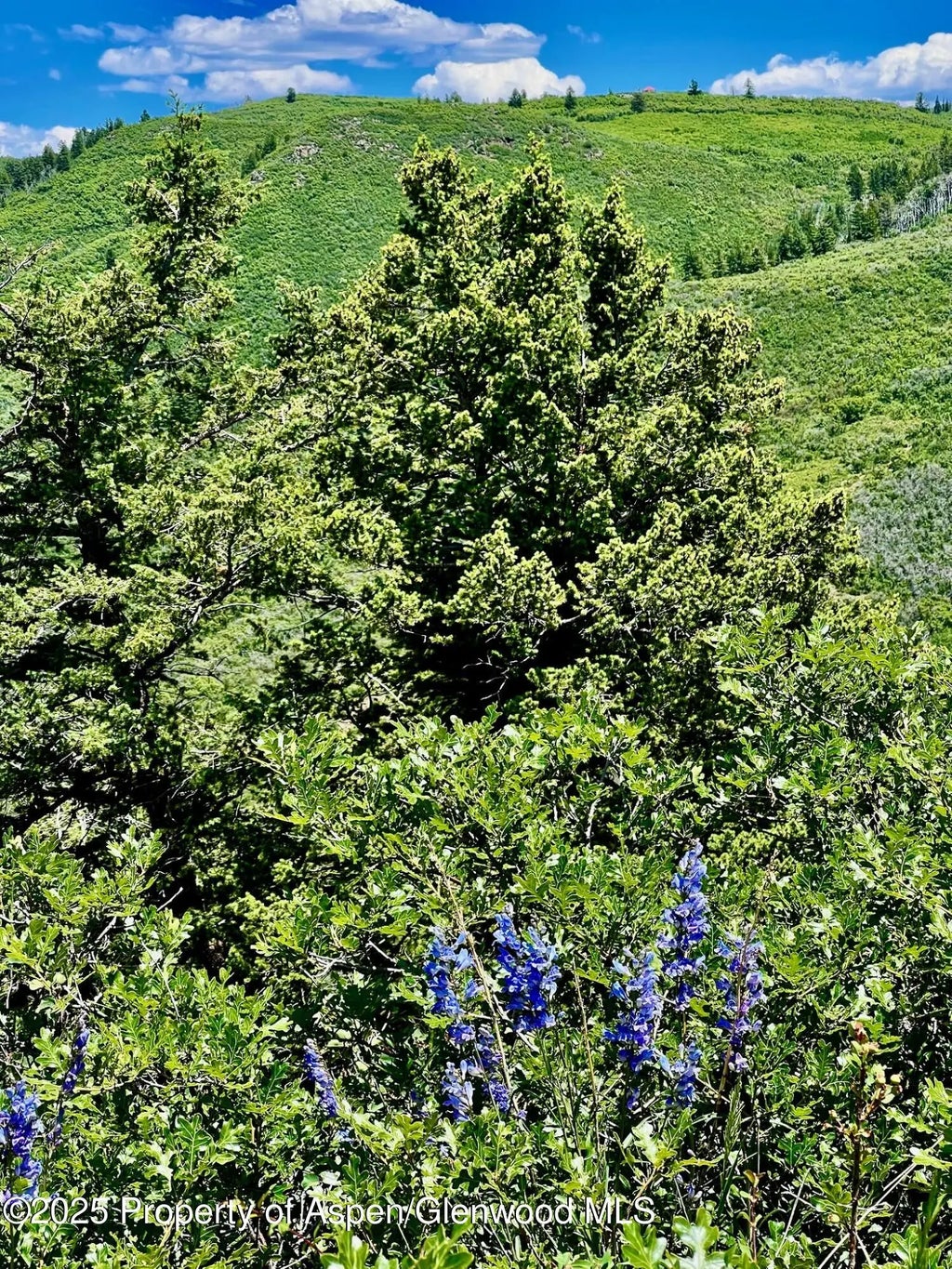 30 of 30 - 3465 134 County Road, Glenwood Springs, CO