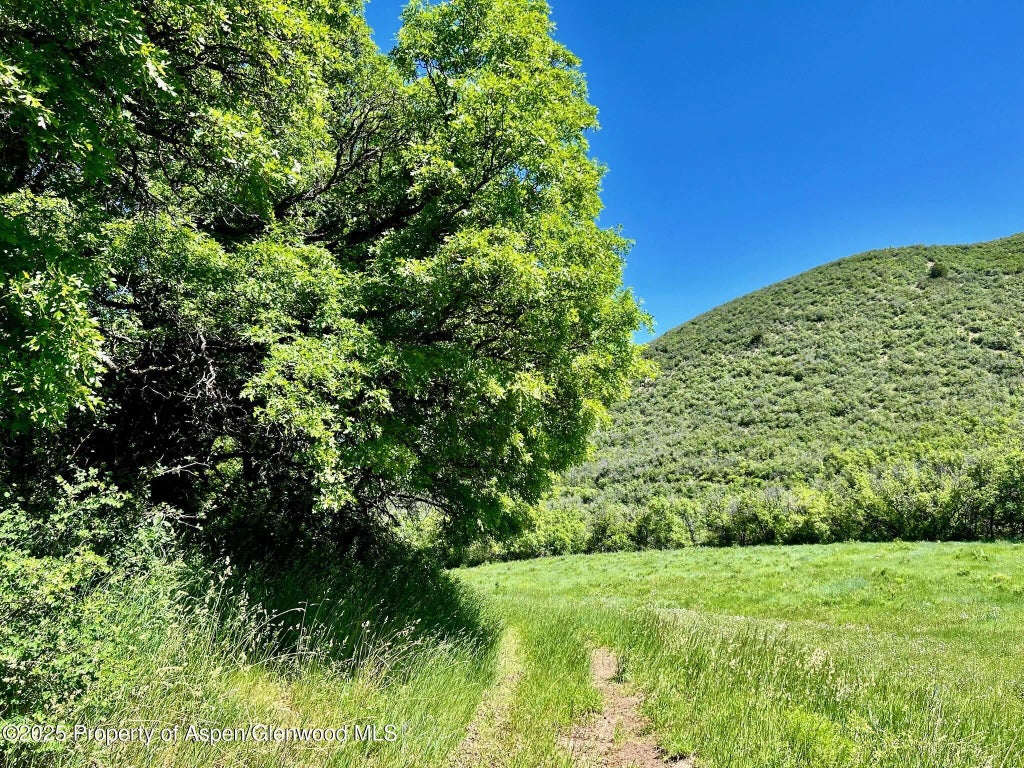 6 of 30 - 3465 134 County Road, Glenwood Springs, CO