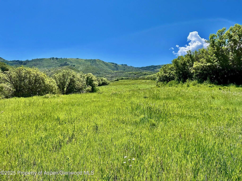 8 of 30 - 3465 134 County Road, Glenwood Springs, CO