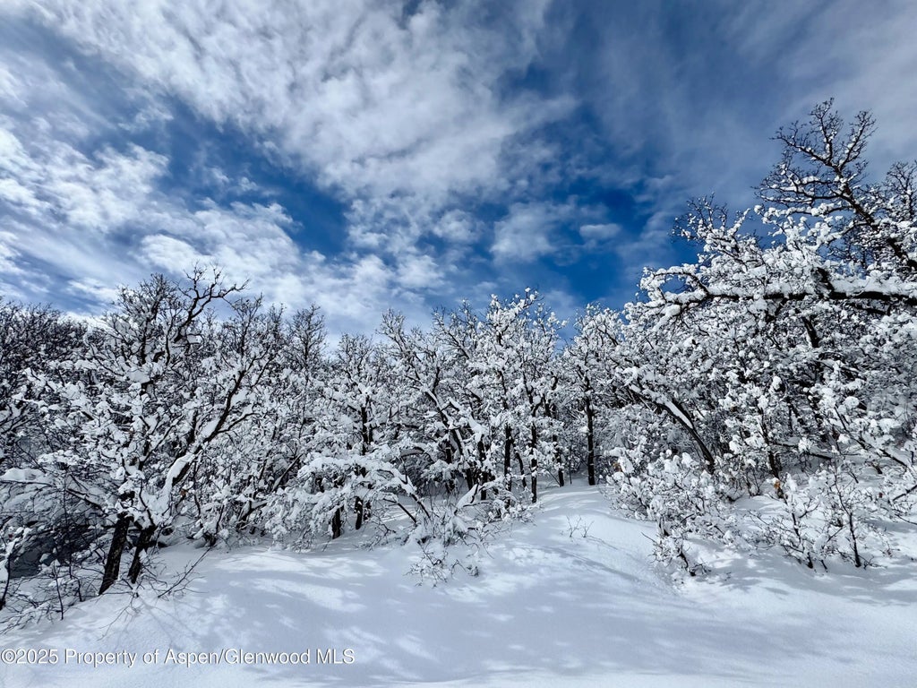 31 of 63 - 3600 Bear Paw Lane, Glenwood Springs, CO