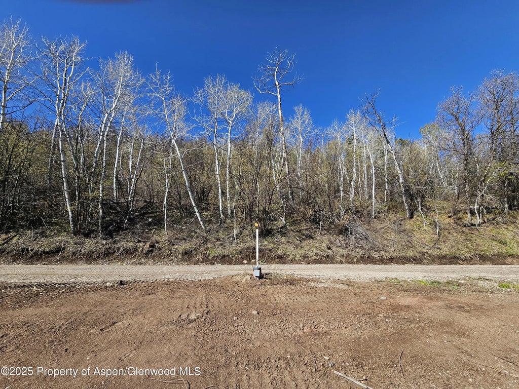 45 of 63 - 3600 Bear Paw Lane, Glenwood Springs, CO