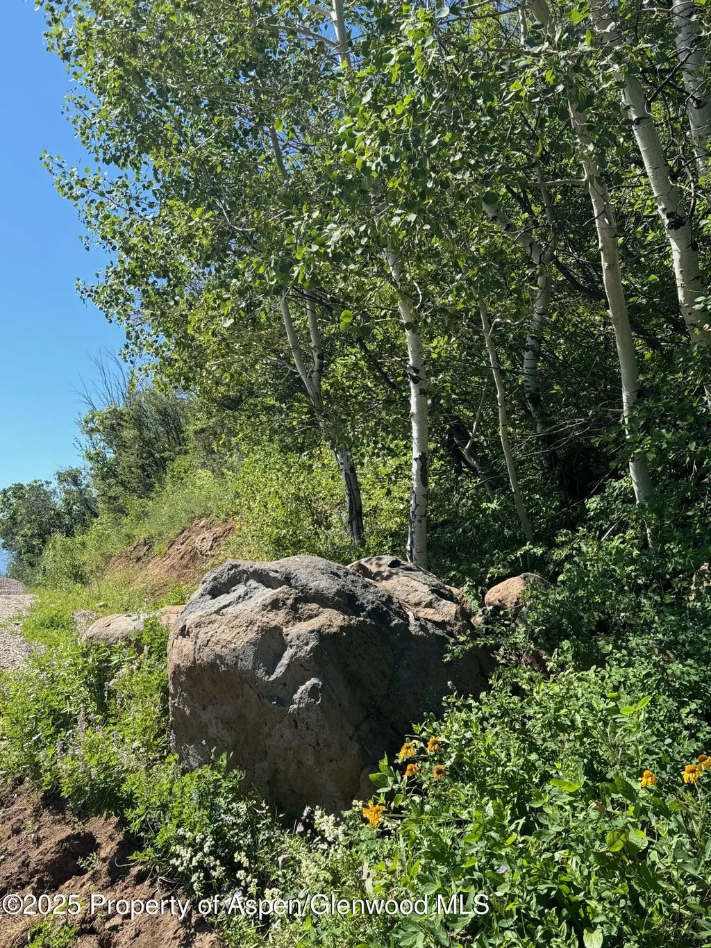 47 of 63 - 3600 Bear Paw Lane, Glenwood Springs, CO
