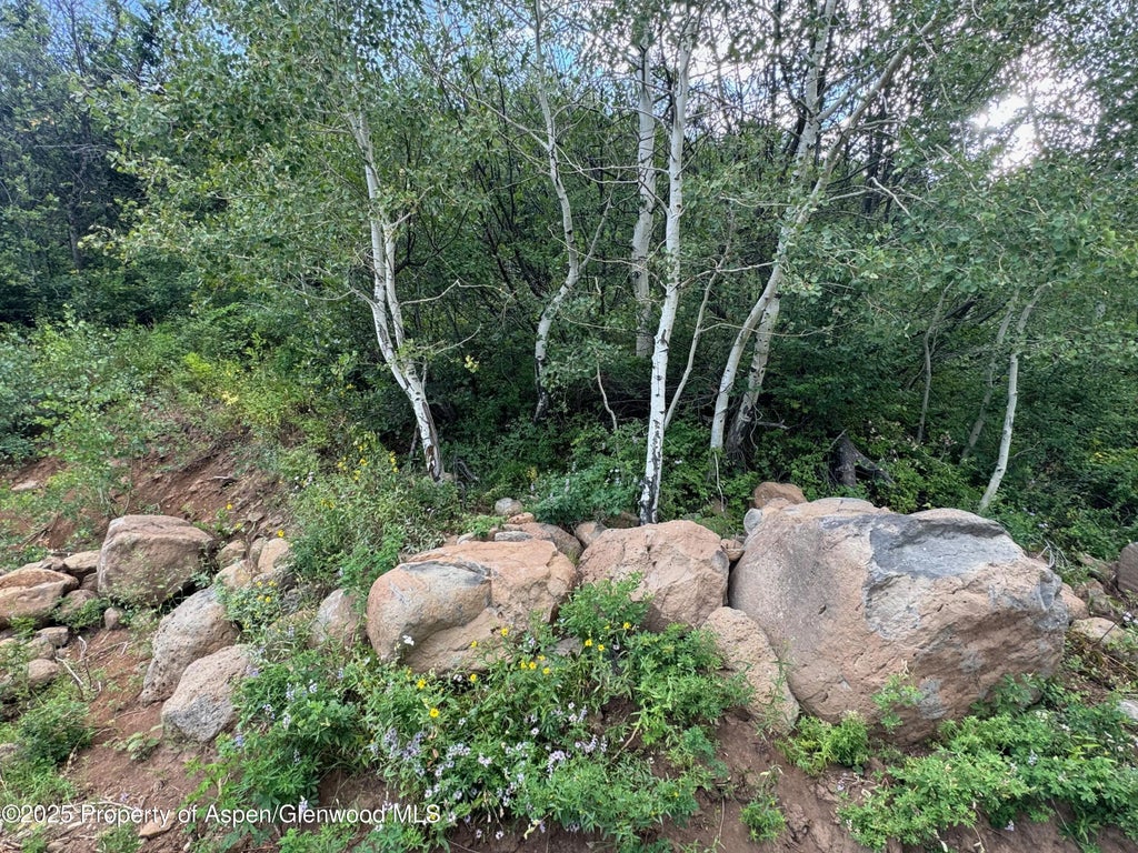 48 of 63 - 3600 Bear Paw Lane, Glenwood Springs, CO