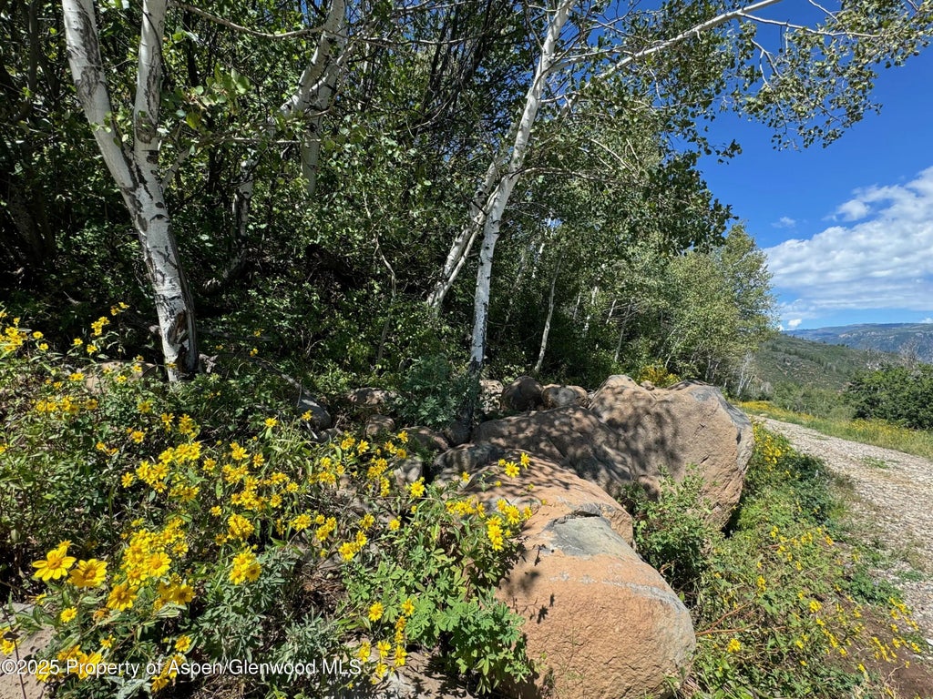 59 of 63 - 3600 Bear Paw Lane, Glenwood Springs, CO
