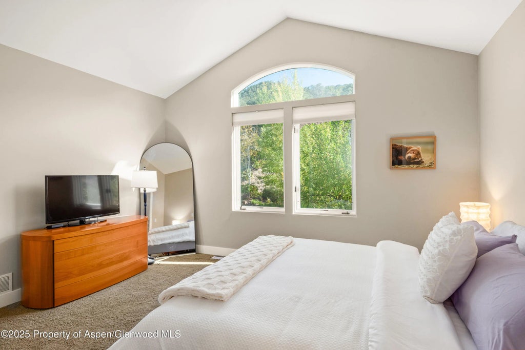 28 of 58 - 587 Hillcrest Drive, Basalt, CO