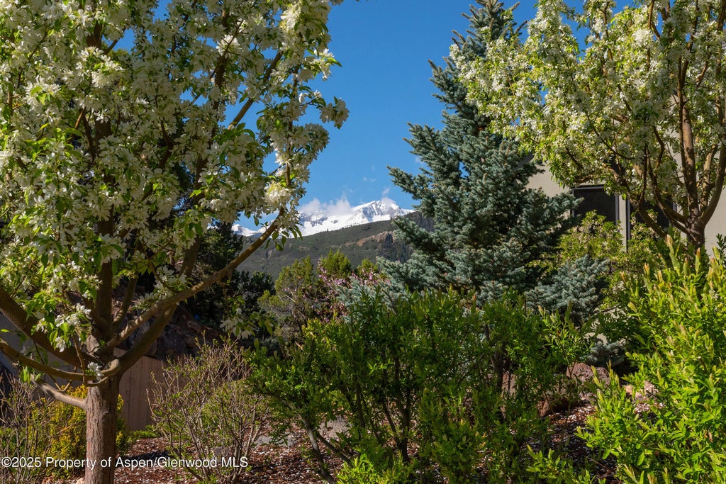 48 of 58 - 587 Hillcrest Drive, Basalt, CO
