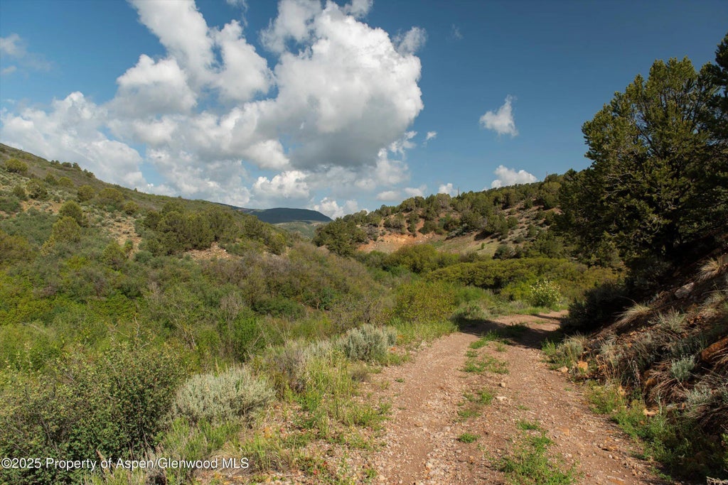 12 of 21 - 3691 E Sopris Creek Road, Basalt, CO