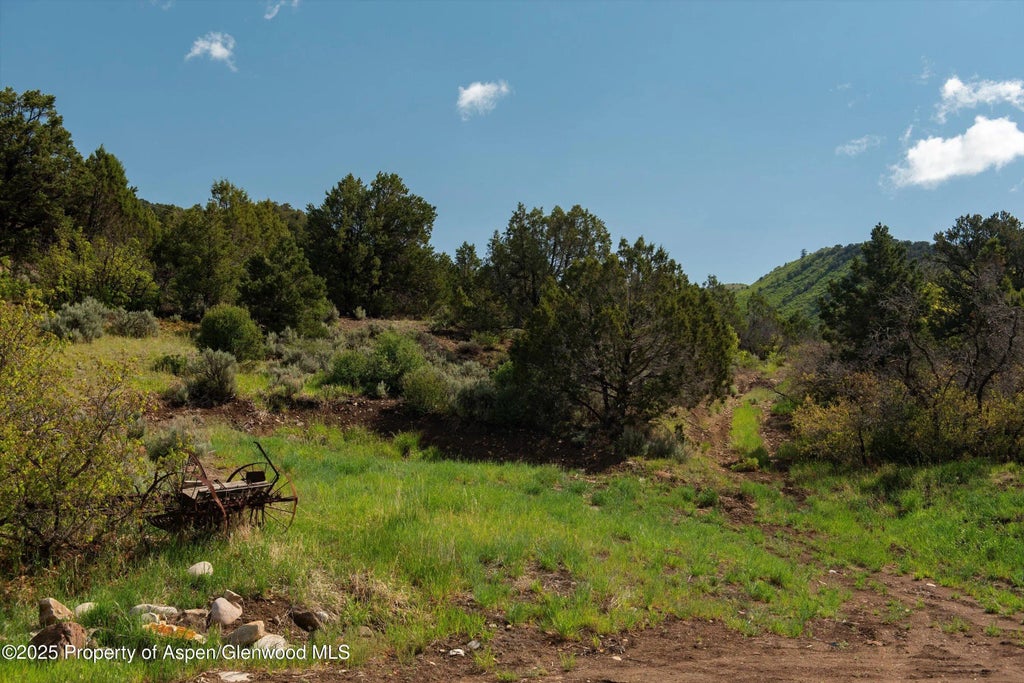 13 of 21 - 3691 E Sopris Creek Road, Basalt, CO