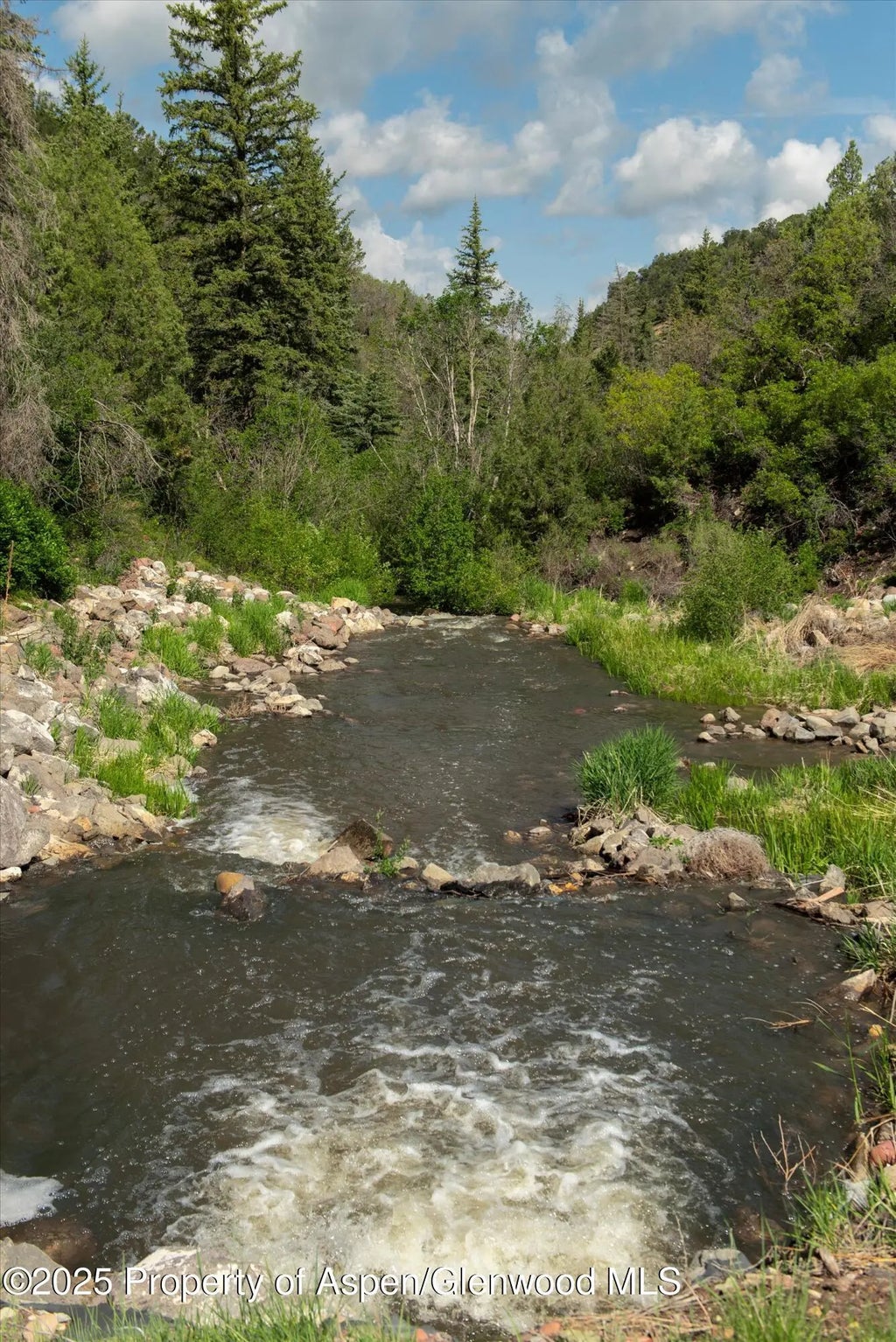18 of 21 - 3691 E Sopris Creek Road, Basalt, CO