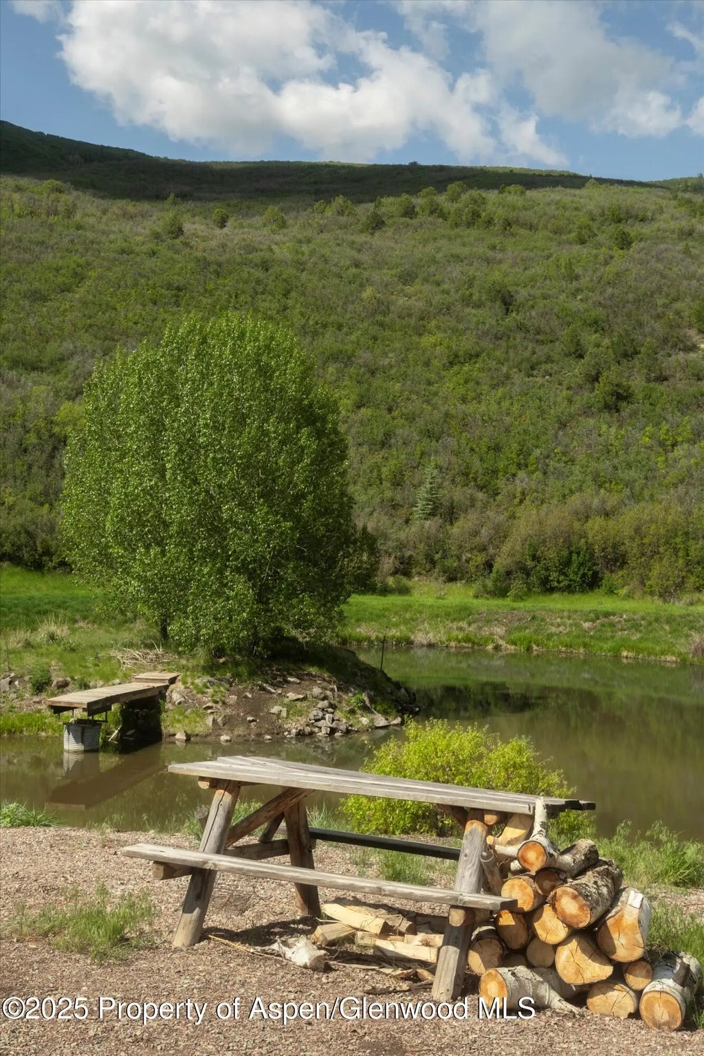 8 of 21 - 3691 E Sopris Creek Road, Basalt, CO