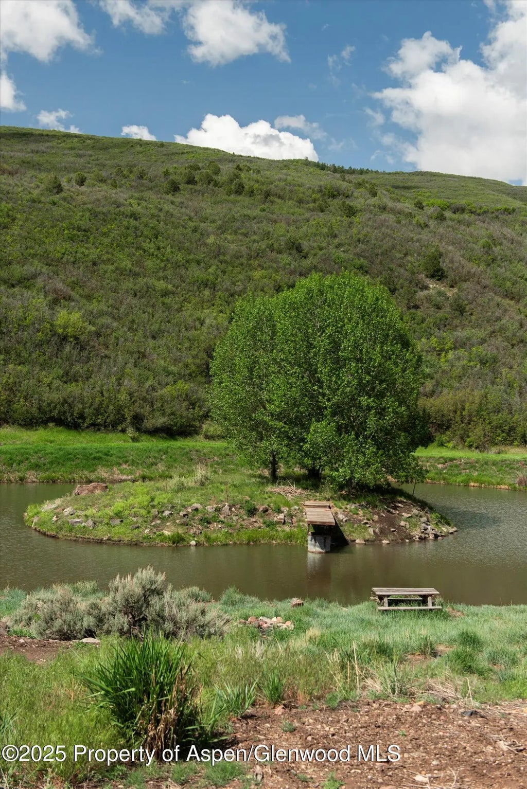 9 of 21 - 3691 E Sopris Creek Road, Basalt, CO
