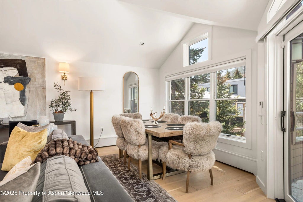 10 of 43 - 929 E E Durant Avenue Avenue 4, Aspen, CO