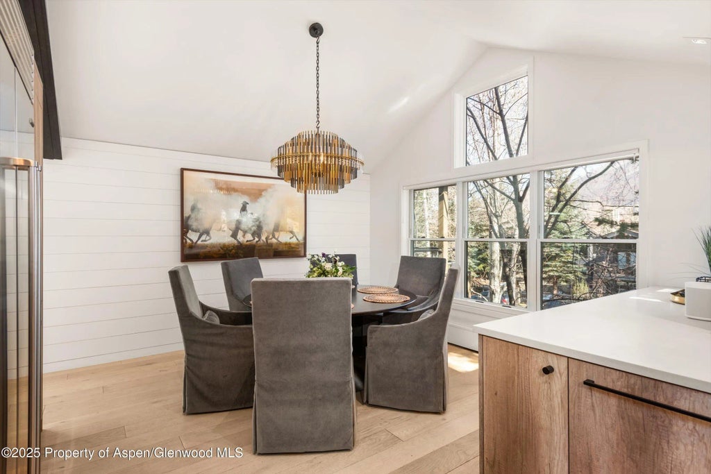 18 of 43 - 929 E E Durant Avenue Avenue 4, Aspen, CO