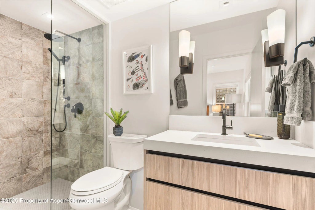 28 of 43 - 929 E E Durant Avenue Avenue 4, Aspen, CO