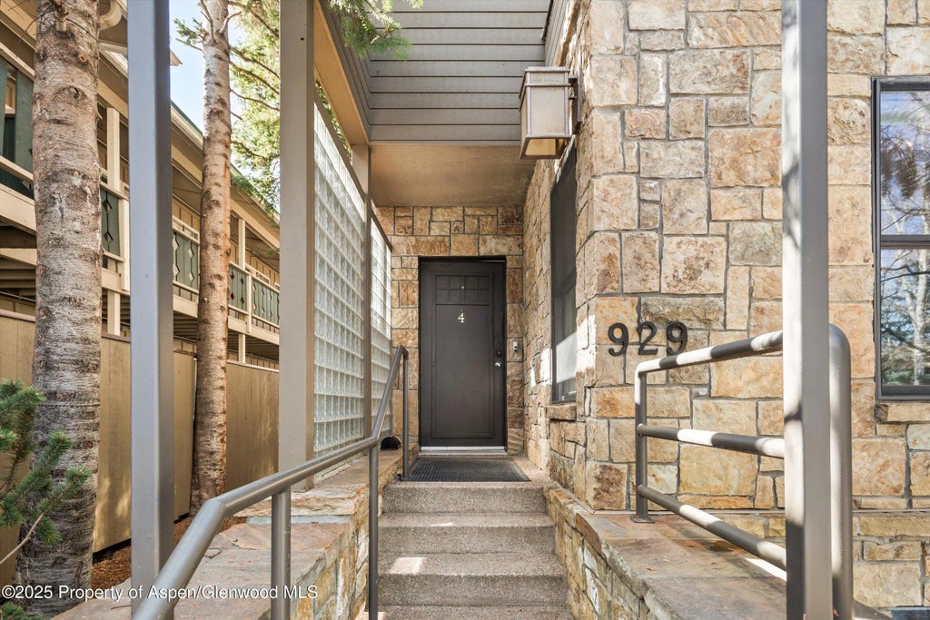 38 of 43 - 929 E E Durant Avenue Avenue 4, Aspen, CO