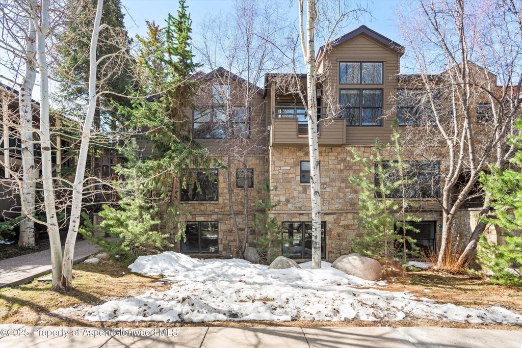 39 of 43 - 929 E E Durant Avenue Avenue 4, Aspen, CO