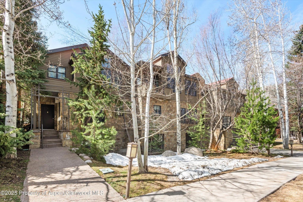40 of 43 - 929 E E Durant Avenue Avenue 4, Aspen, CO