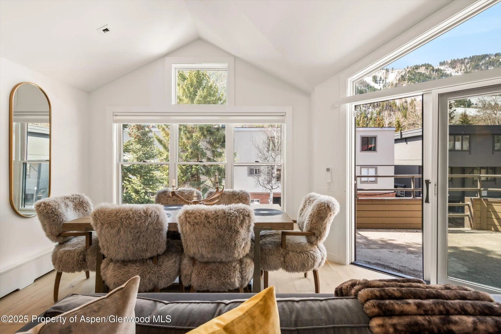 9 of 43 - 929 E E Durant Avenue Avenue 4, Aspen, CO