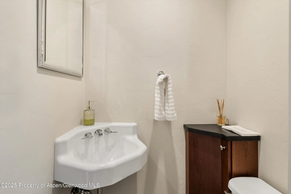 5 of 14 - 720 W Hopkins Avenue Unit D, Aspen, CO