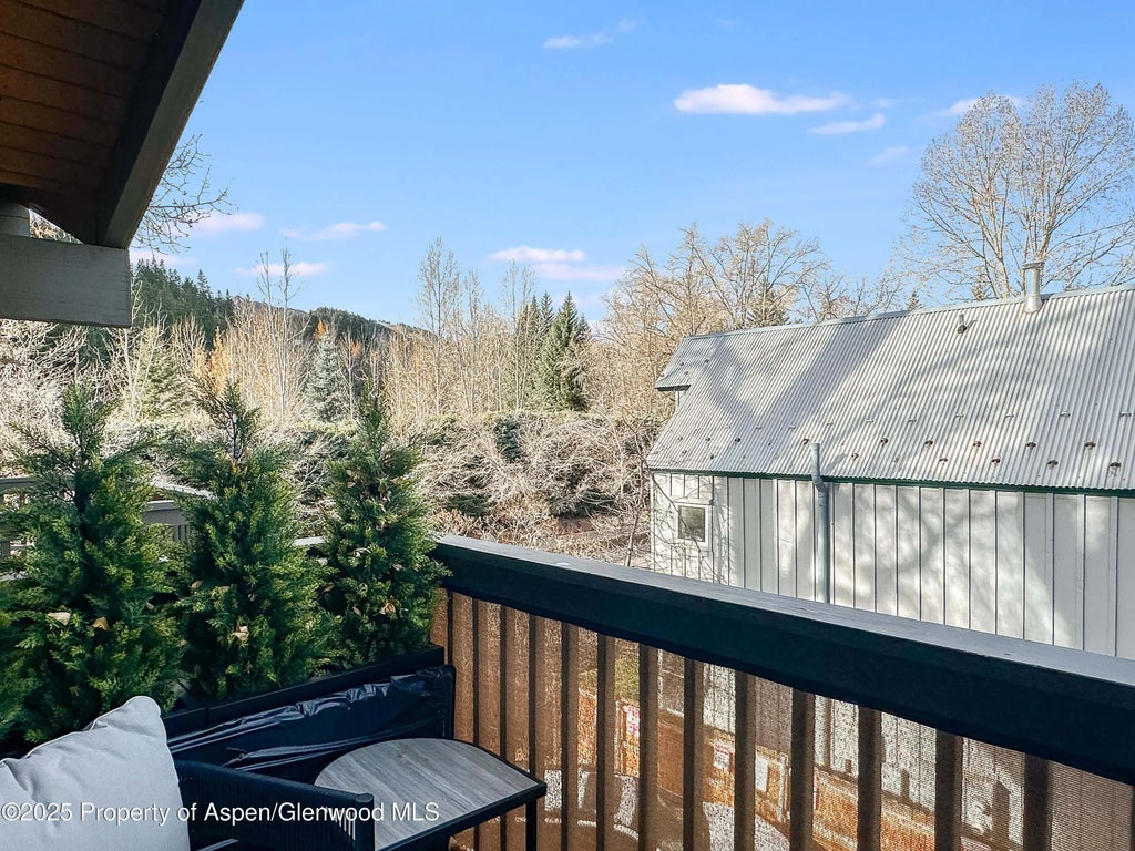 6 of 14 - 720 W Hopkins Avenue Unit D, Aspen, CO