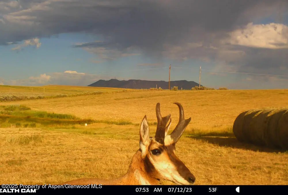 107 of 134 - 1210 County Road 103, Craig, CO