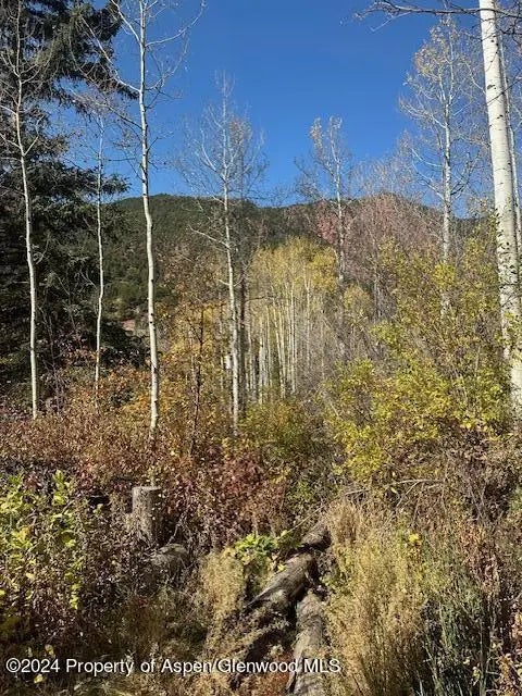 1 of 19 - 349 Crystal Circle, Carbondale, CO