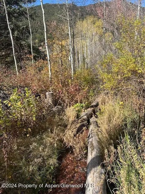 10 of 19 - 349 Crystal Circle, Carbondale, CO
