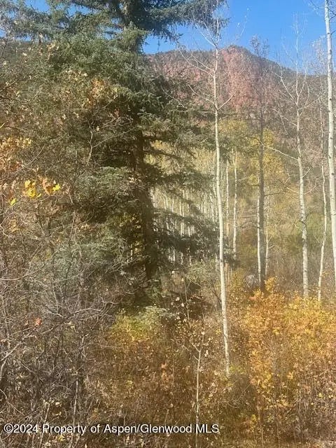 18 of 19 - 349 Crystal Circle, Carbondale, CO