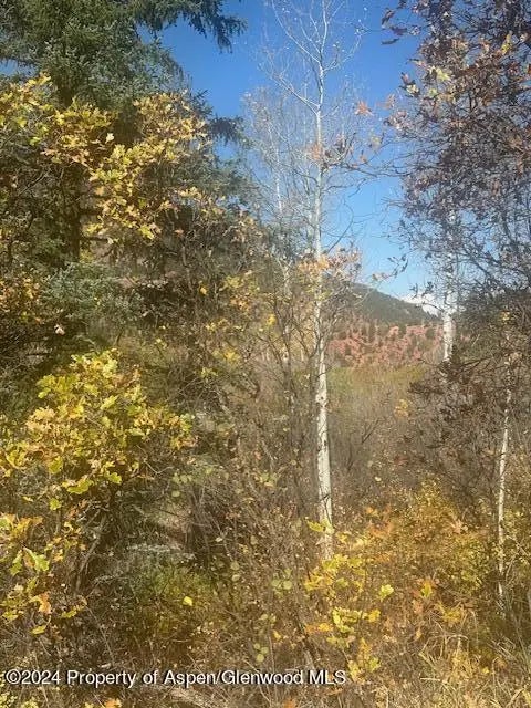 19 of 19 - 349 Crystal Circle, Carbondale, CO