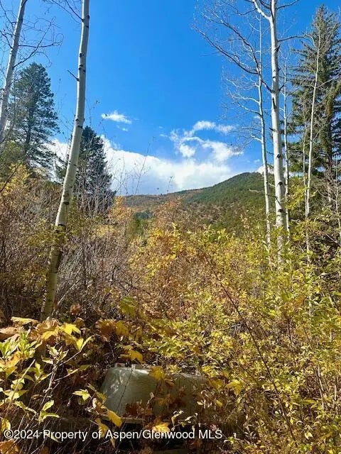 2 of 19 - 349 Crystal Circle, Carbondale, CO