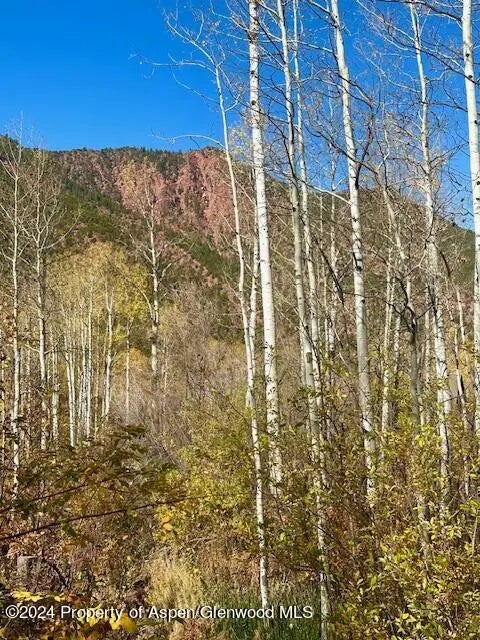 3 of 19 - 349 Crystal Circle, Carbondale, CO