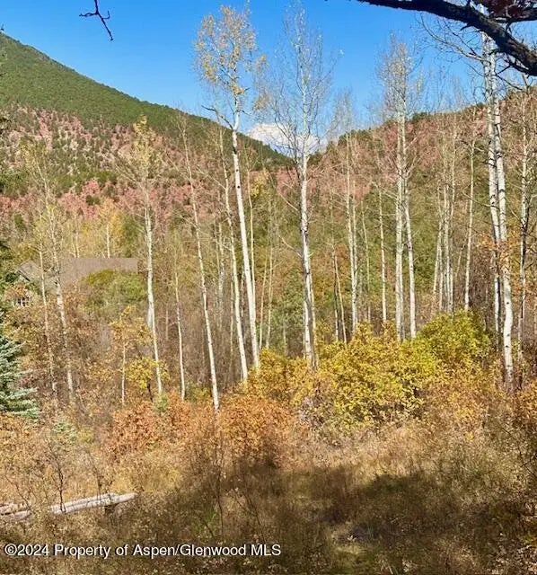 4 of 19 - 349 Crystal Circle, Carbondale, CO