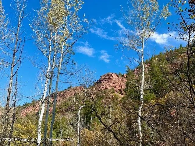 5 of 19 - 349 Crystal Circle, Carbondale, CO