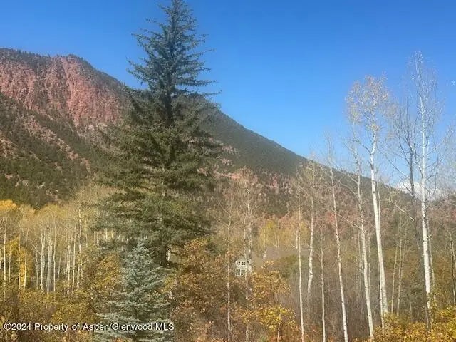 7 of 19 - 349 Crystal Circle, Carbondale, CO