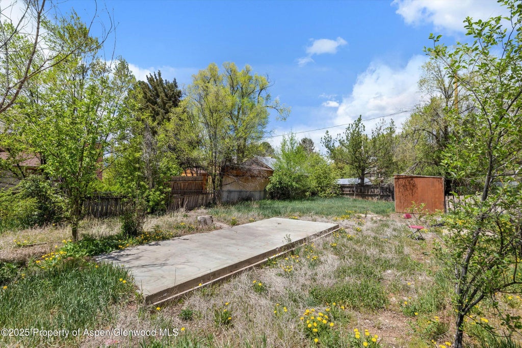 16 of 21 - 155 Main Street, Carbondale, CO