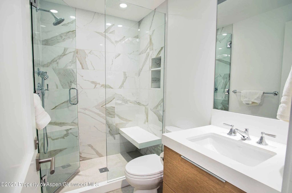 12 of 28 - 1018 E Hyman Avenue Unit 1, Aspen, CO