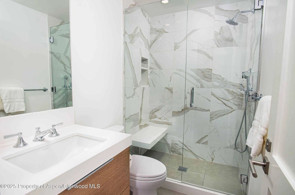 14 of 28 - 1018 E Hyman Avenue Unit 1, Aspen, CO