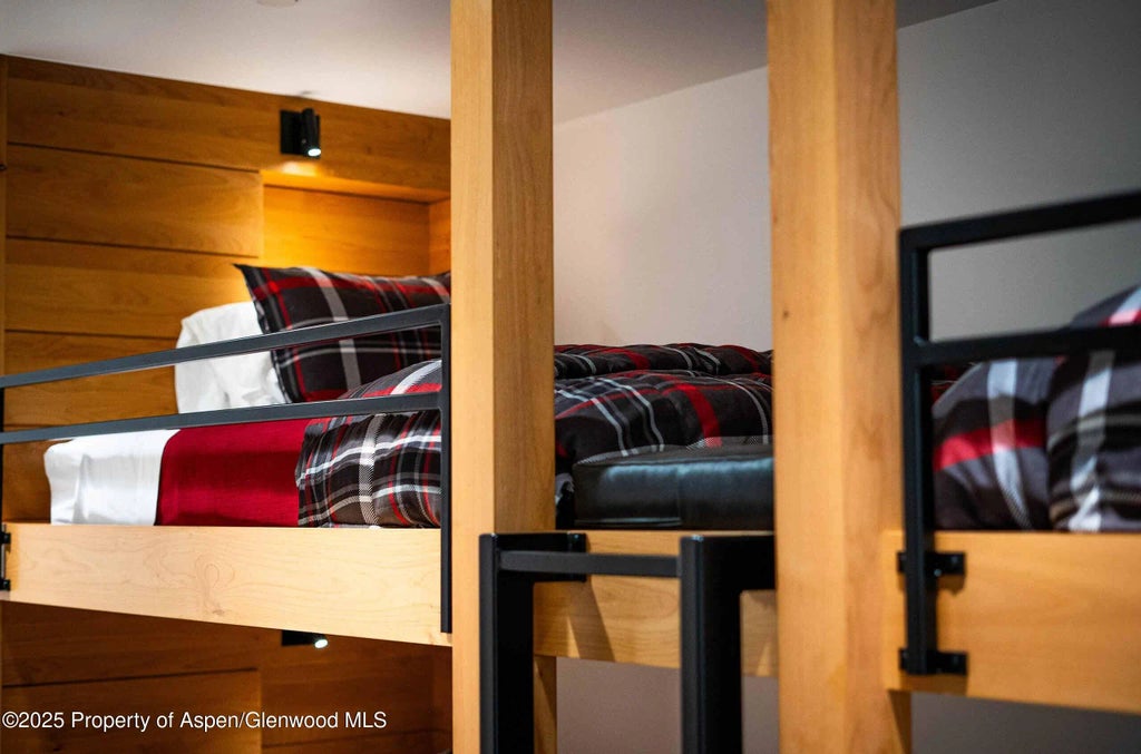 19 of 28 - 1018 E Hyman Avenue Unit 1, Aspen, CO