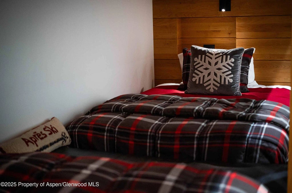 20 of 28 - 1018 E Hyman Avenue Unit 1, Aspen, CO