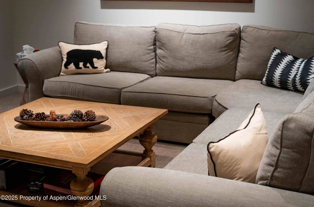 21 of 28 - 1018 E Hyman Avenue Unit 1, Aspen, CO