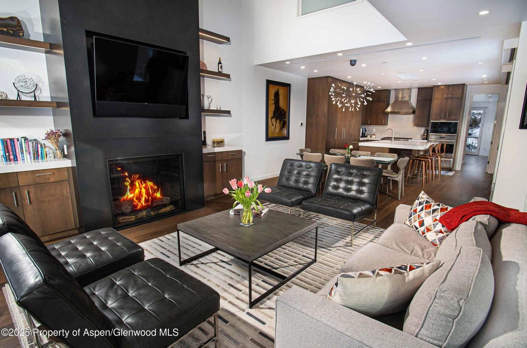 22 of 28 - 1018 E Hyman Avenue Unit 1, Aspen, CO