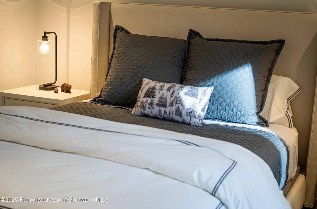 23 of 28 - 1018 E Hyman Avenue Unit 1, Aspen, CO