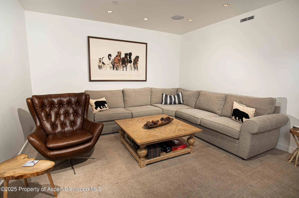 25 of 28 - 1018 E Hyman Avenue Unit 1, Aspen, CO