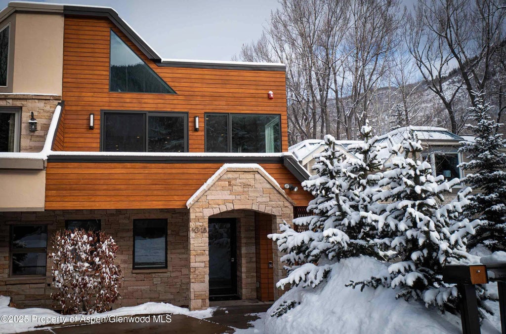 27 of 28 - 1018 E Hyman Avenue Unit 1, Aspen, CO