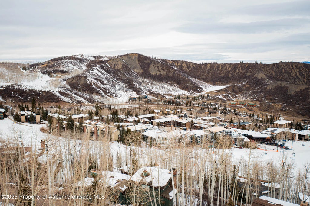 29 of 41 - 306 Edgewood Lane, Snowmass Village, CO