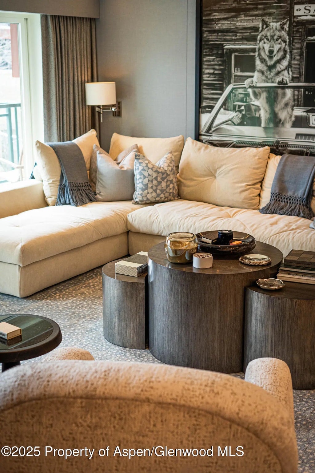 5 of 16 - 555 E Durant Avenue 3c, Aspen, CO