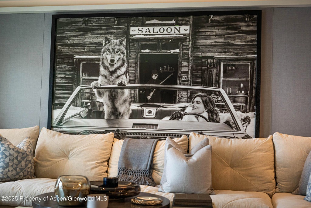 6 of 16 - 555 E Durant Avenue 3c, Aspen, CO