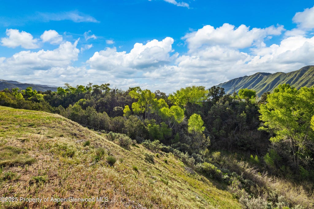 7 of 11 - 393 Faas Ranch Road, New Castle, CO