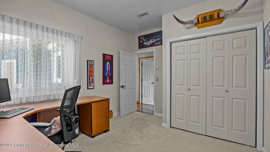 18 of 42 - 220 Sam Grange Court, Carbondale, CO