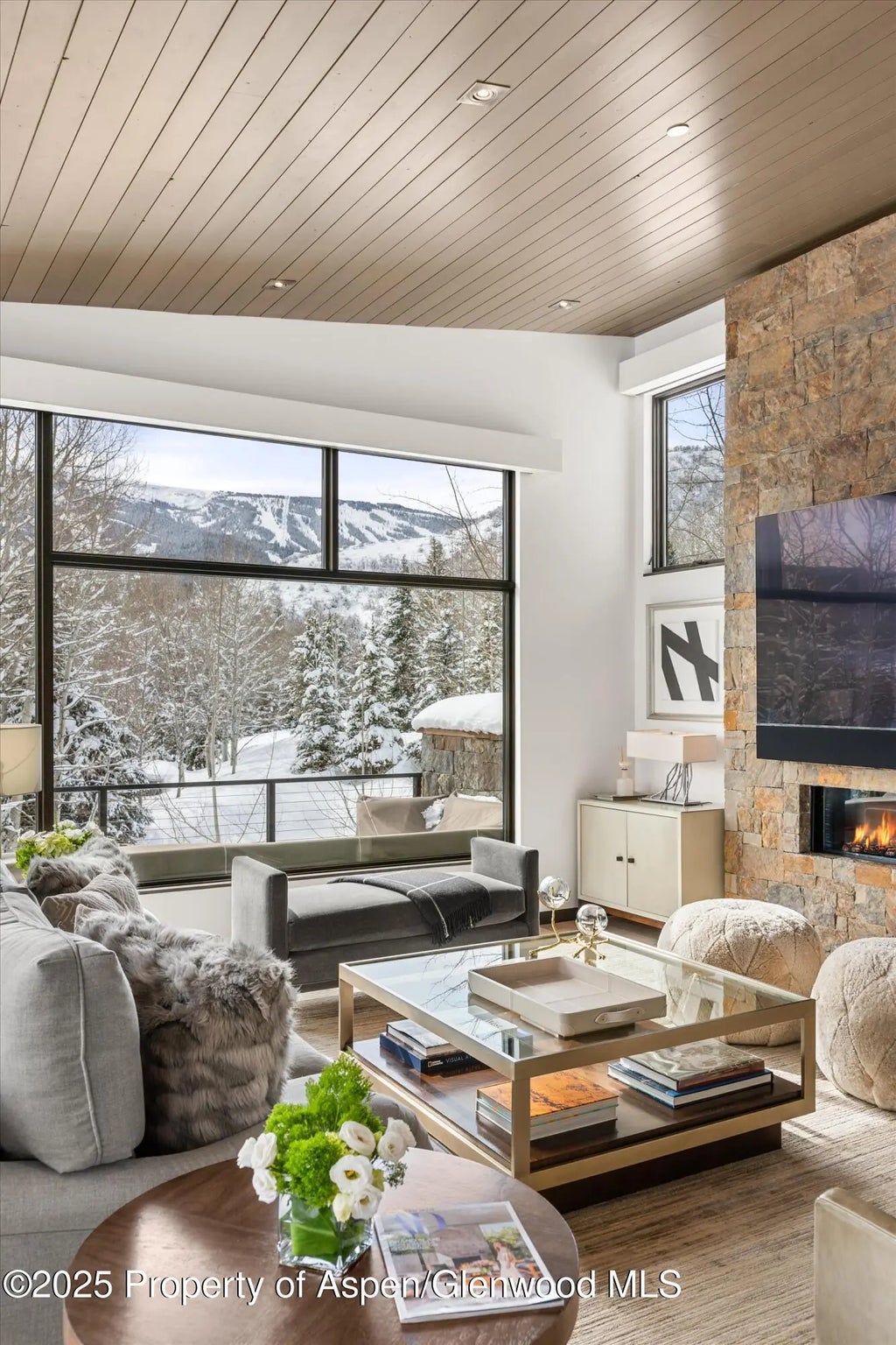 10 of 42 - 353 Terrace Drive, Snowmass Village, CO